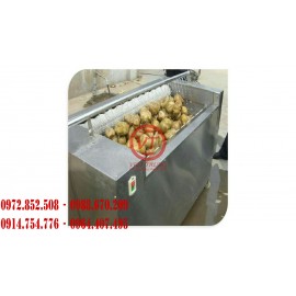 Máy rửa củ quả (nghệ, gừng, khoai tây) (VT-TBN22)